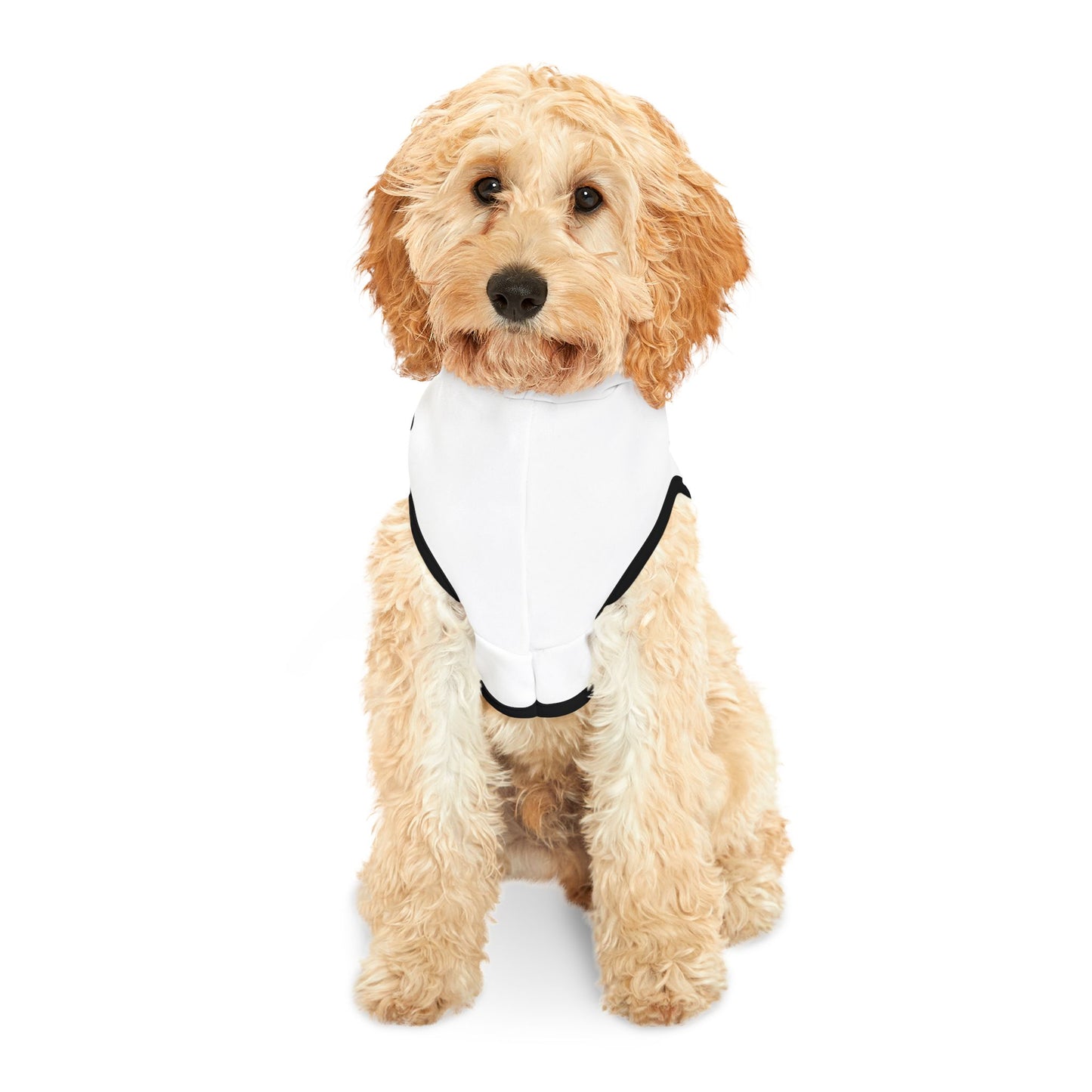 Piggie Smalls Dog Hoodie