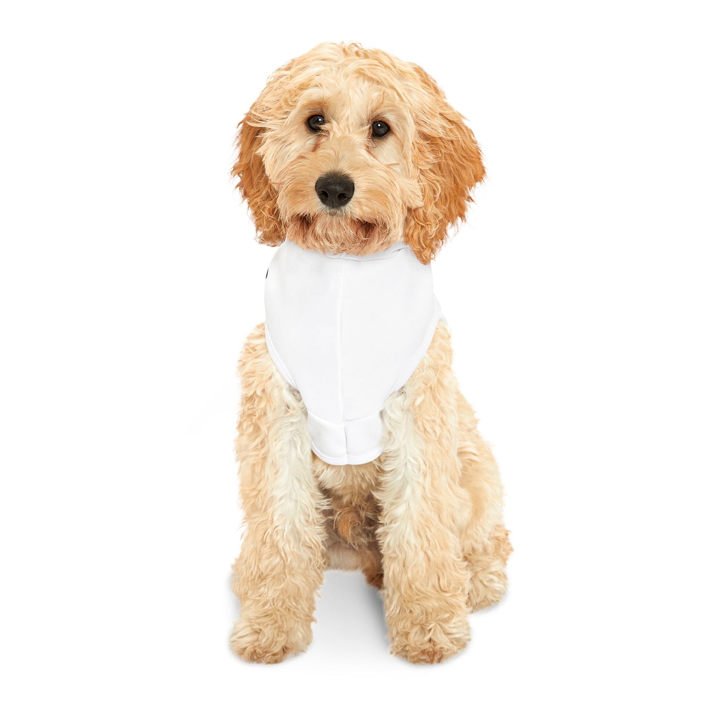 Piggie Smalls Dog Hoodie