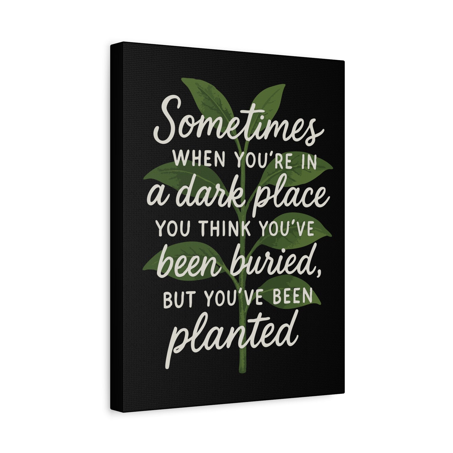 Inspirational Canvas Wall Art - "You've Been Planted, Not Buried"