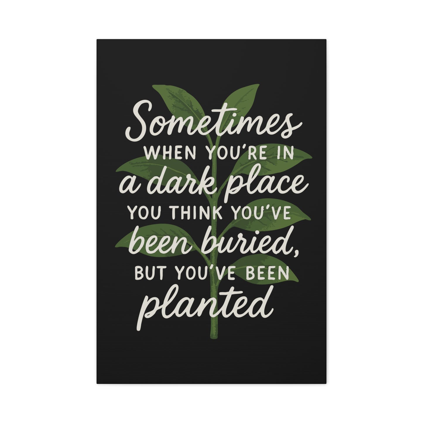 Inspirational Canvas Wall Art - "You've Been Planted, Not Buried"