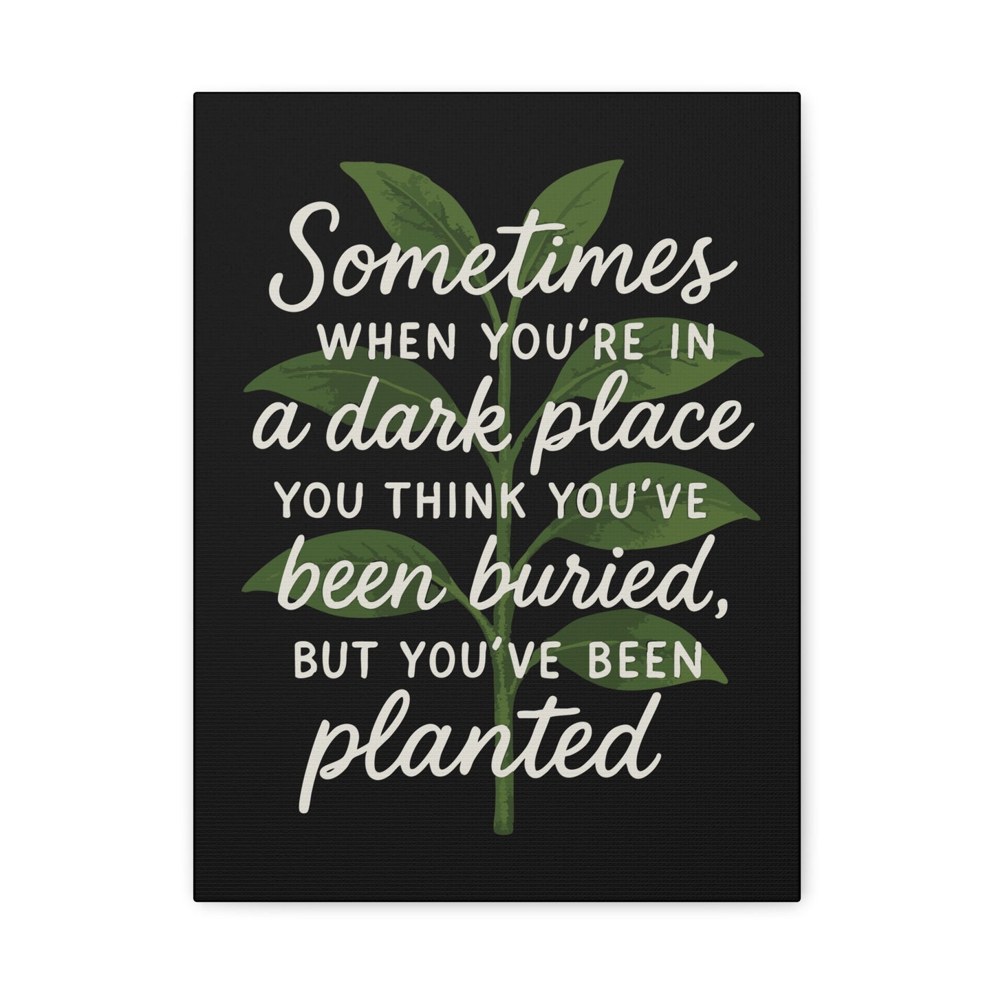 Inspirational Canvas Wall Art - "You've Been Planted, Not Buried"