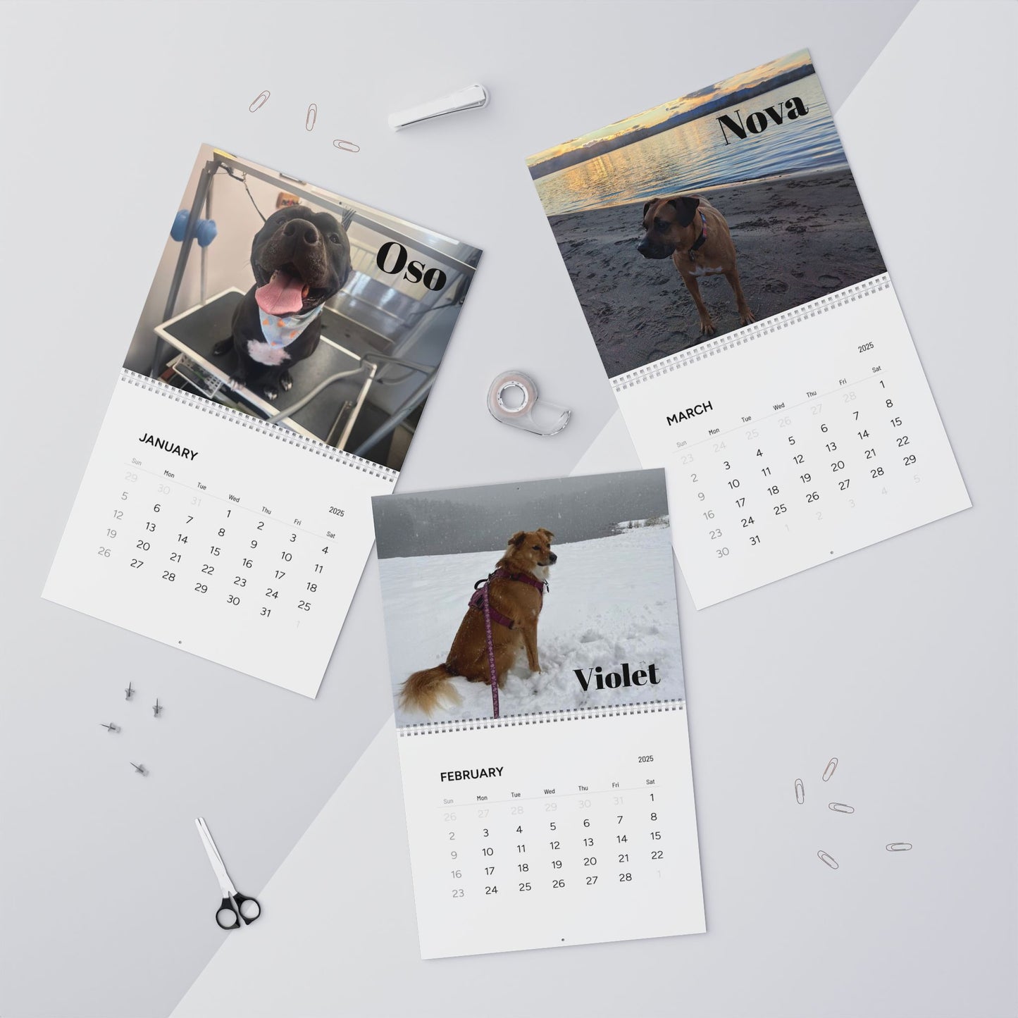 Custom Wall Calendar: Celebrate Every Month with Adorable Dog Friends!