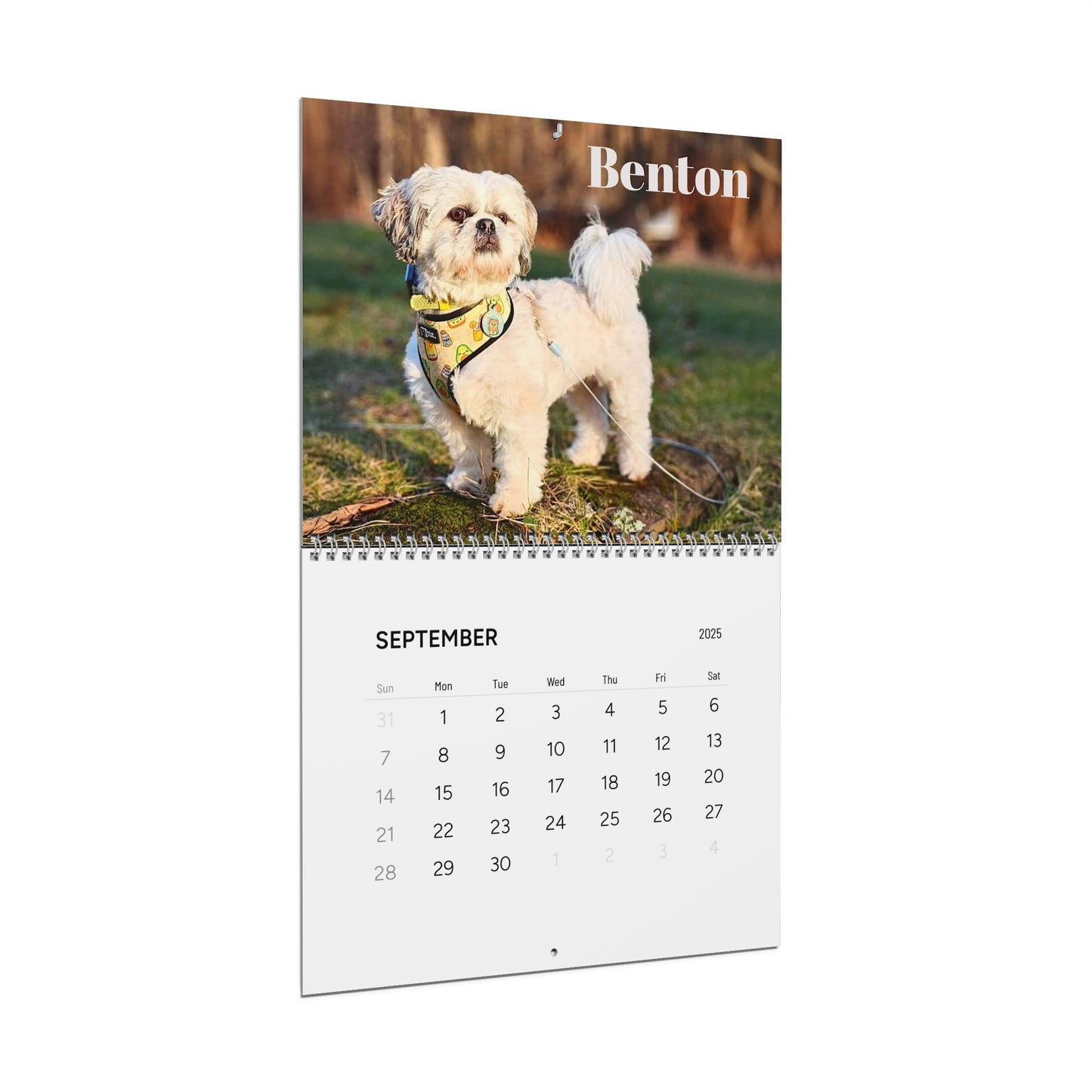 Custom Wall Calendar: Celebrate Every Month with Adorable Dog Friends!