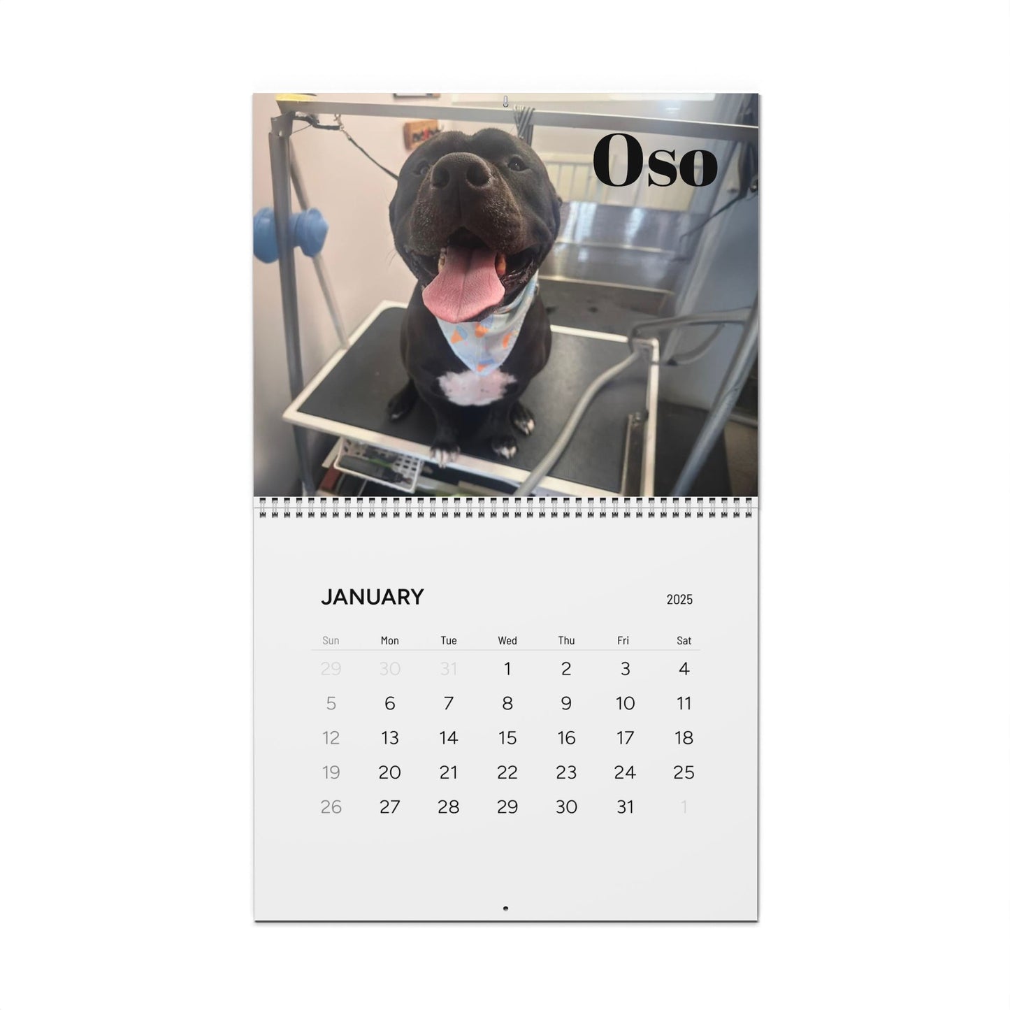 Custom Wall Calendar: Celebrate Every Month with Adorable Dog Friends!