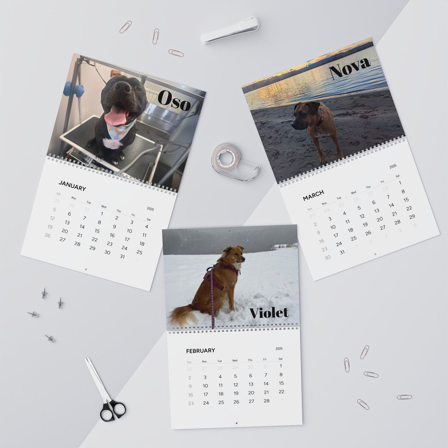 Custom Wall Calendar: Celebrate Every Month with Adorable Dog Friends!