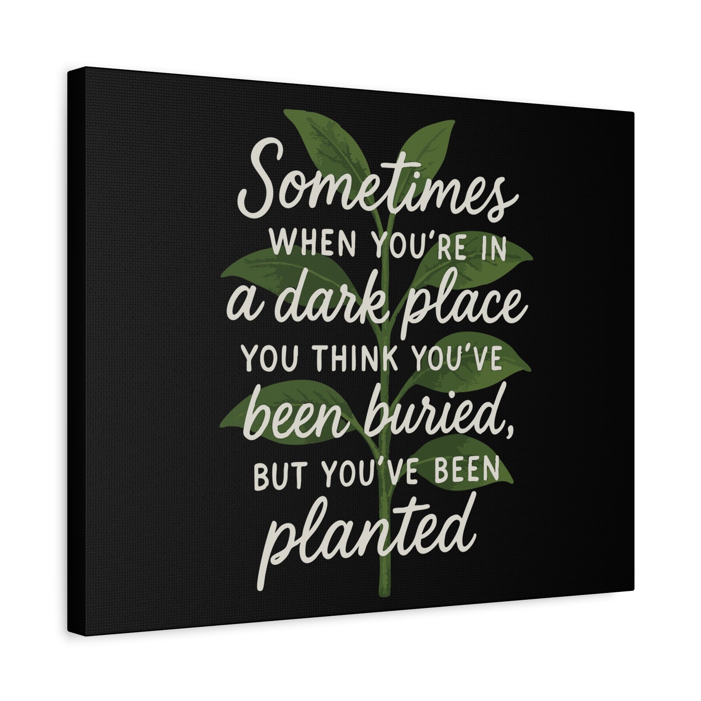 Inspirational Canvas Wall Art - "You've Been Planted, Not Buried"