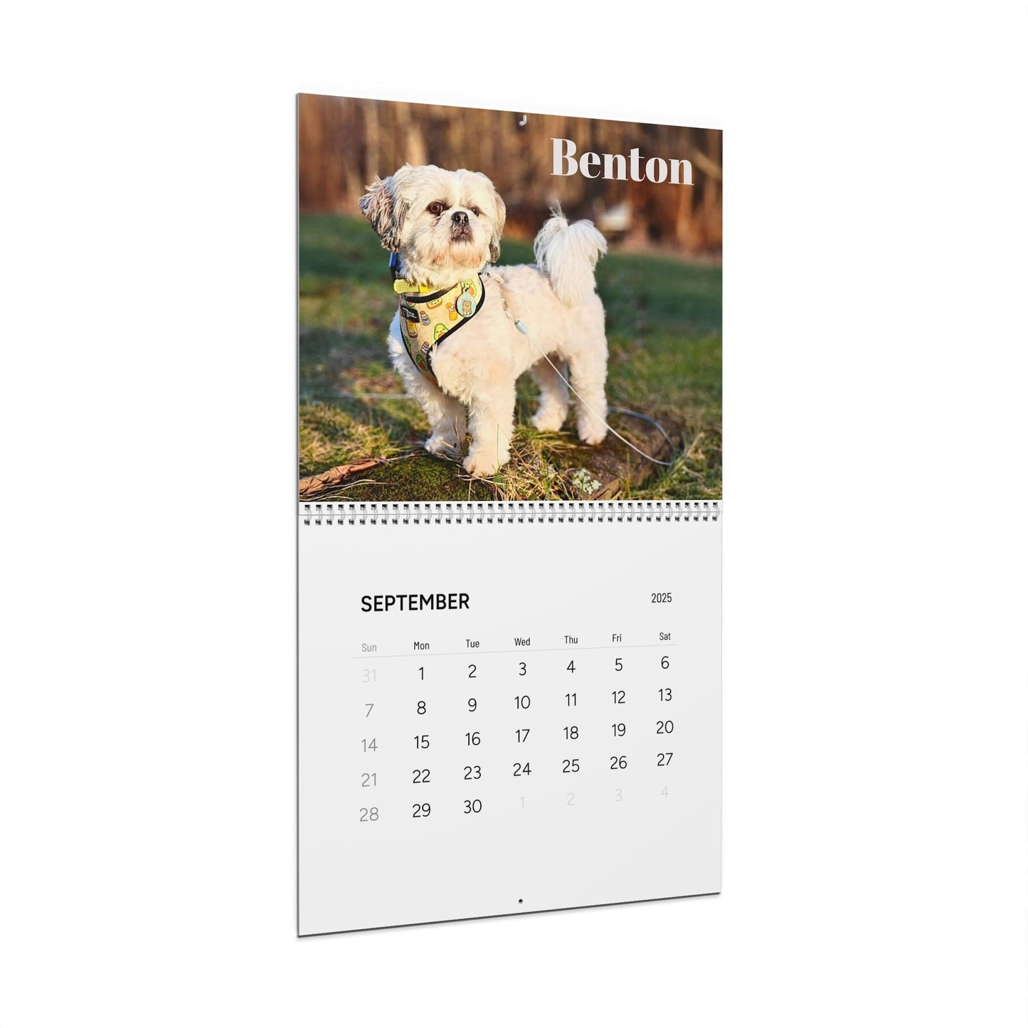 Custom Wall Calendar: Celebrate Every Month with Adorable Dog Friends!