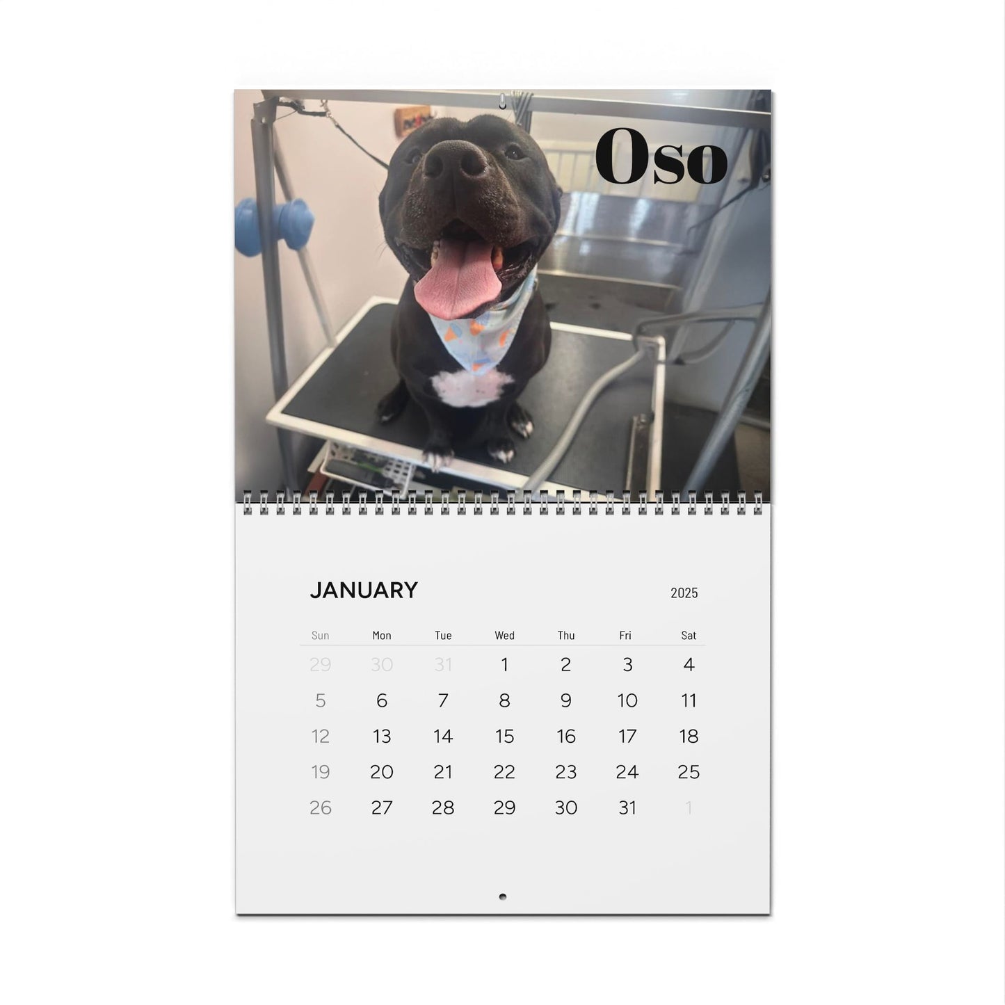 Custom Wall Calendar: Celebrate Every Month with Adorable Dog Friends!